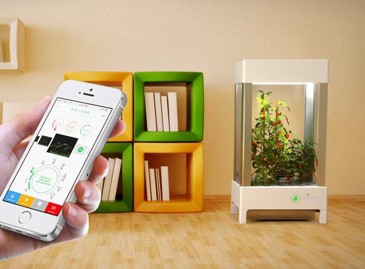 Meet Niwa, World's First Smart Home Hydroponics System (And It Looks ...