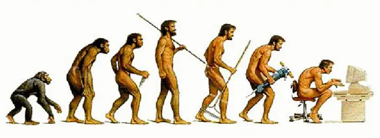 Image result for human evolution timeline computers