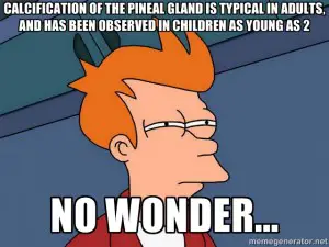 pineal gland calcification