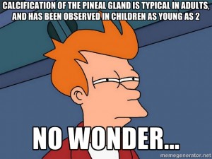 pineal gland calcification