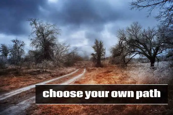 choose-own-path-CriticalCactus
