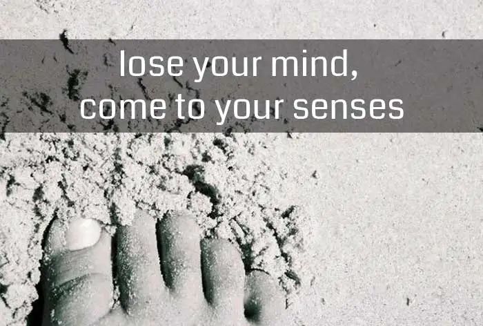lose-your-mind-come-to-your-senses