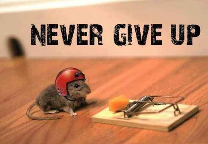 never-give-up