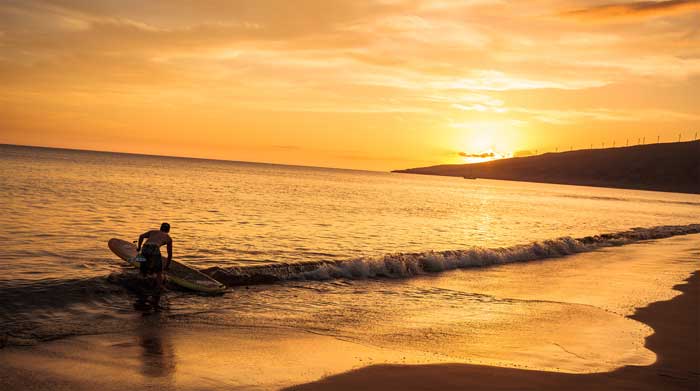 a morning canal trip or an evening sunset ocean ride